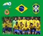 Brezilya Milli Takımı, Grup B, Arjantin 2011